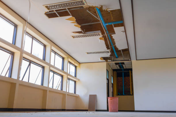 Best Water damage cleanup near me  in Oak Park Heights, MN