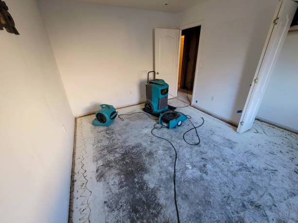 Best Emergency water damage restoration  in Oak Park Heights, MN