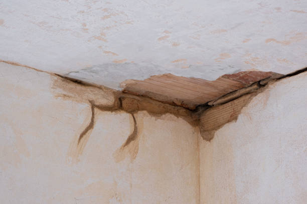 Best Flood restoration services  in Oak Park Heights, MN