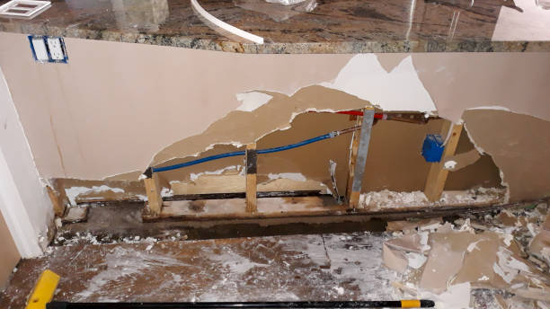 Best Flood damage cleanup  in Oak Park Heights, MN