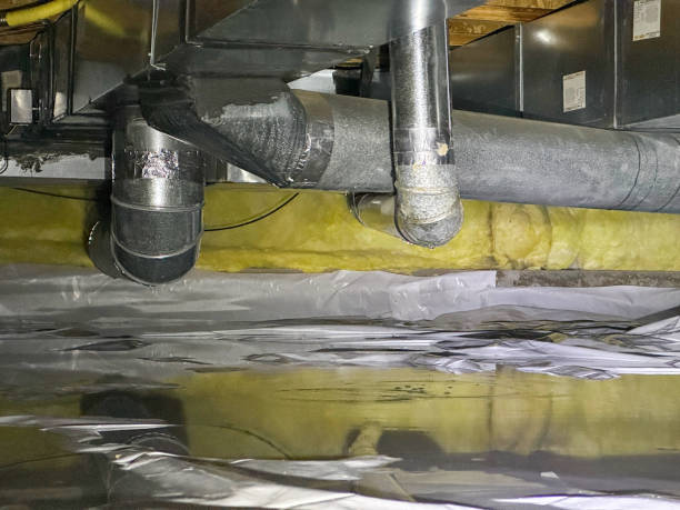 Best Flooded house restoration  in Oak Park Heights, MN