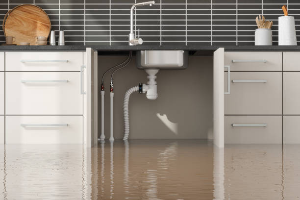 Best Commercial water damage restoration  in Oak Park Heights, MN